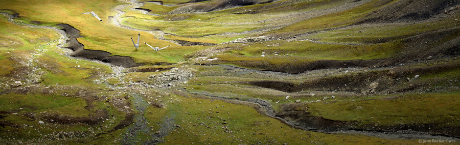 julienbm_apres_la_pluie