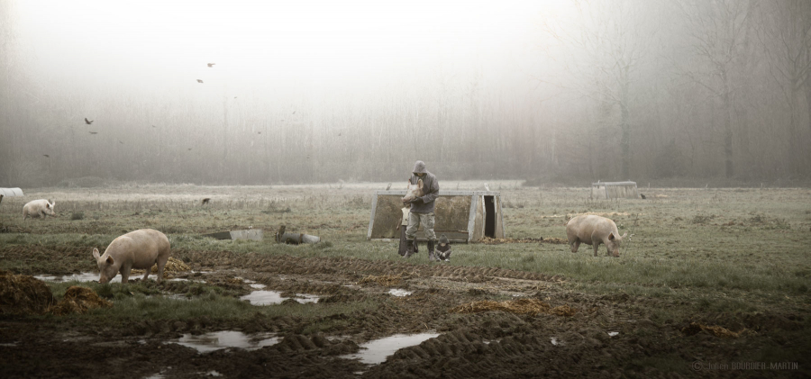 julienbm_le_sacrifice