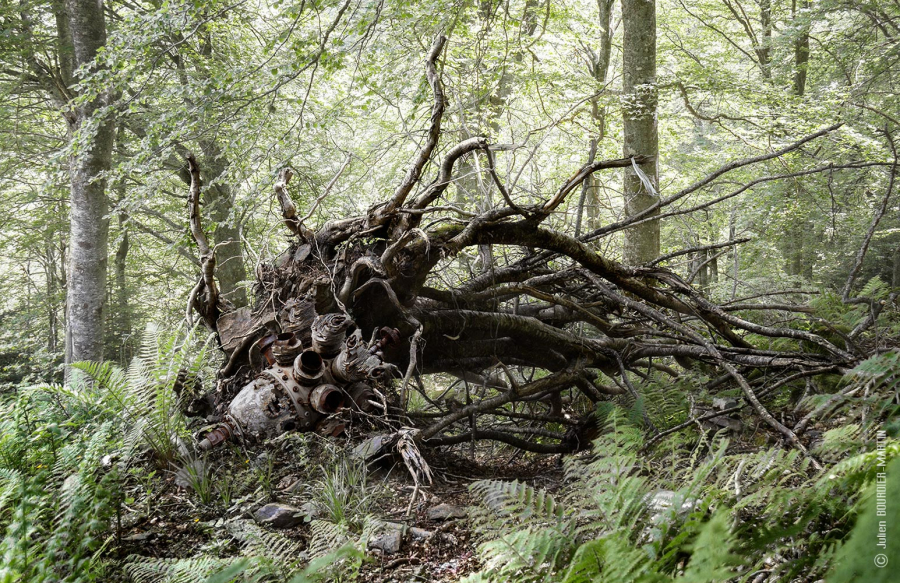 julienbm_les_hurlements